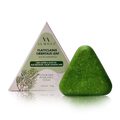 Shampoo - Platycladus Orientalis Leaf Solid, 120 g (4.23 oz), Almoes